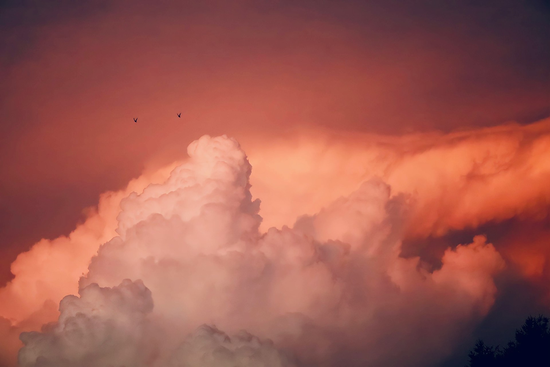 Decorative cloud graphic with sunlit clouds.