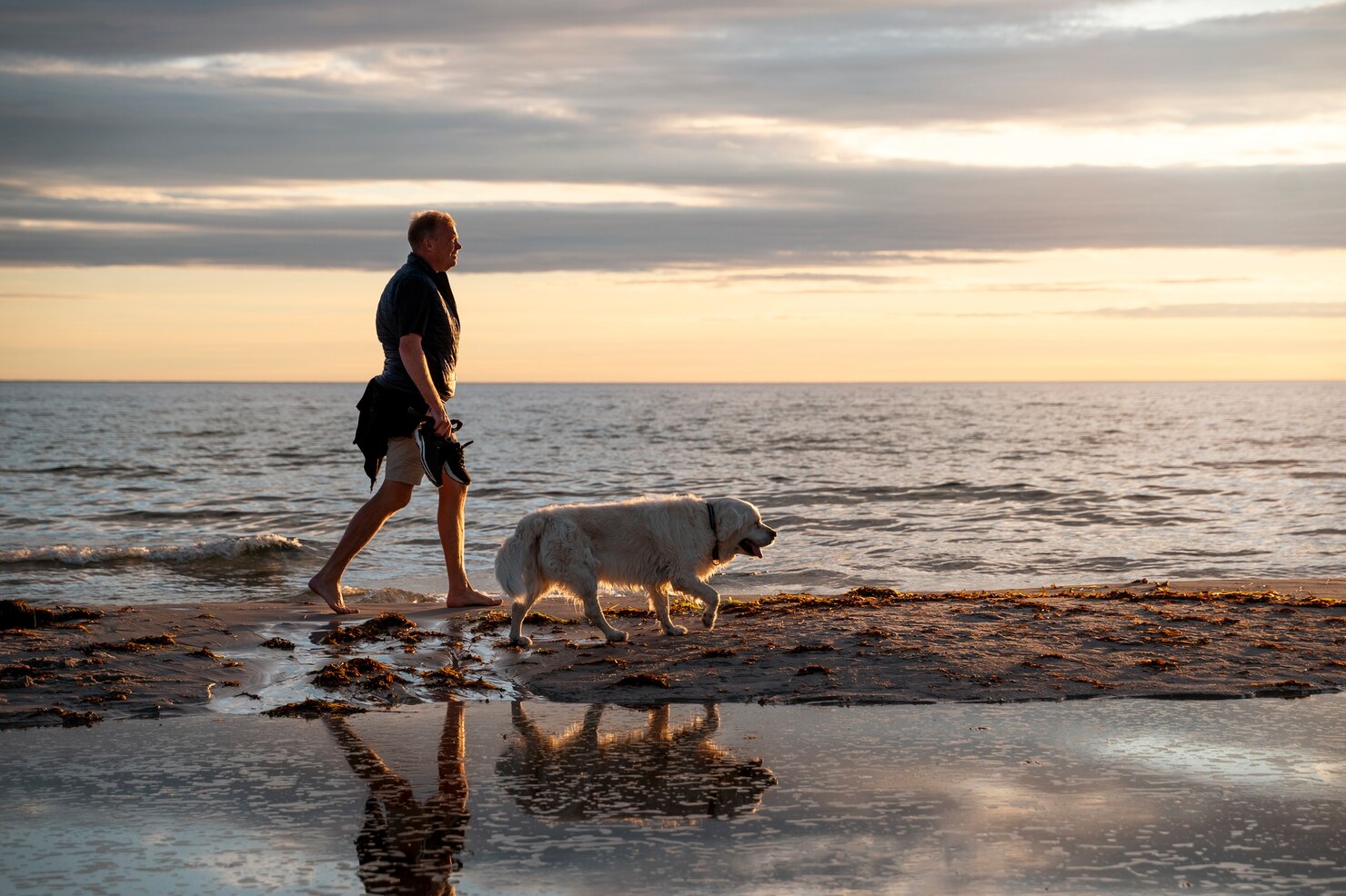 A man walks barefoot with a large white dog along a beach at sunrise with calm water and their reflections visible in the wet sand.